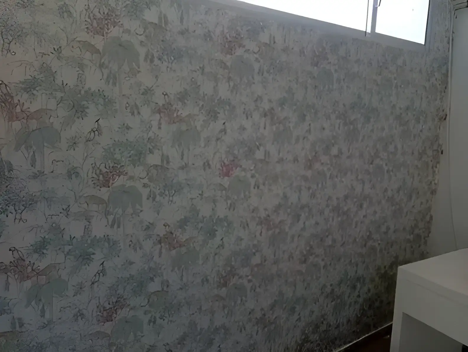 Los pintores Almería colocando papel pintado decorativo en pared completa de habitación